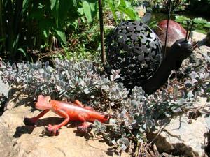 GECKOLAND_1501_MEDIUM_small