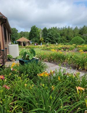 Garden view @ Deb Parsons
