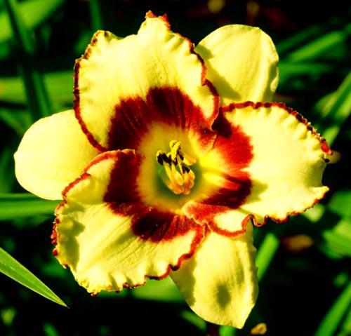 small_world_chuck[1]