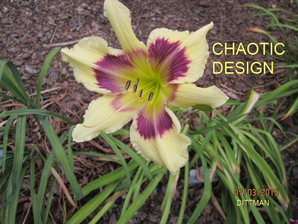 ChaoticDesign9